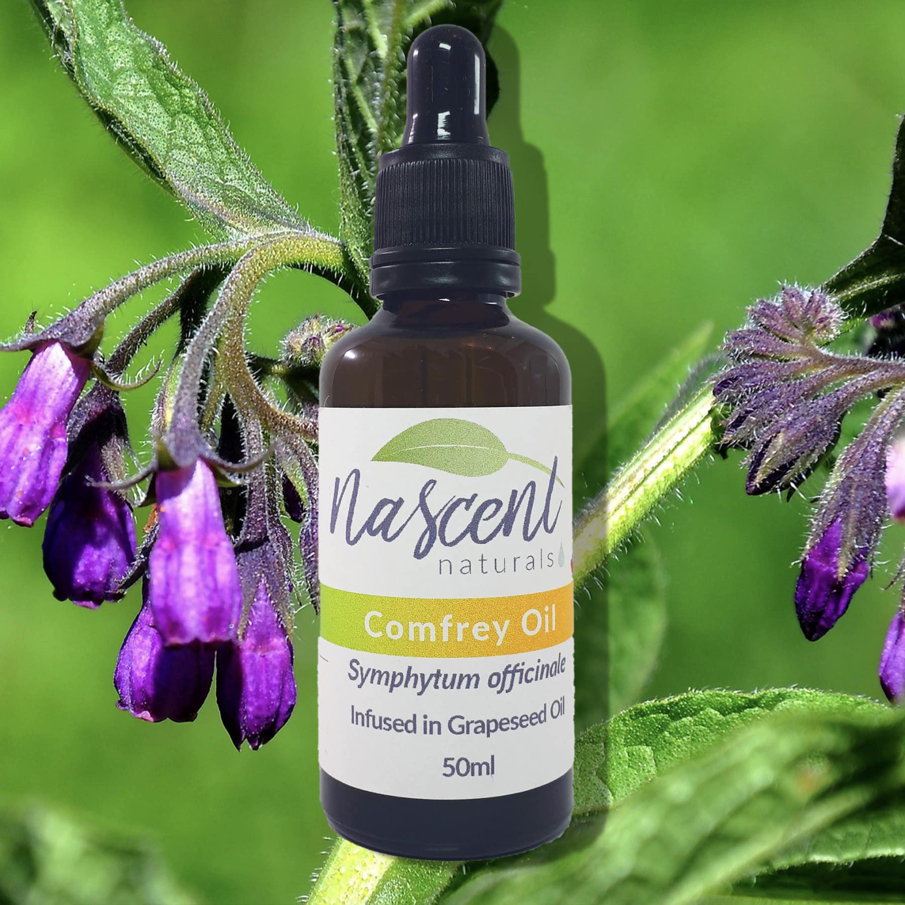 Comfrey Oil image 0