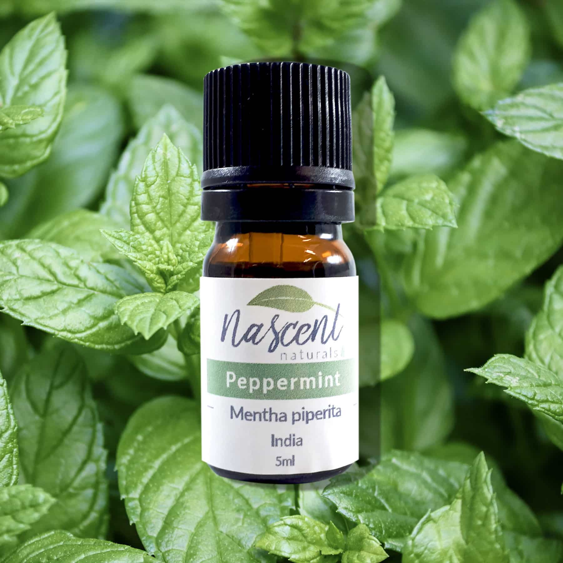 Peppermint image 0