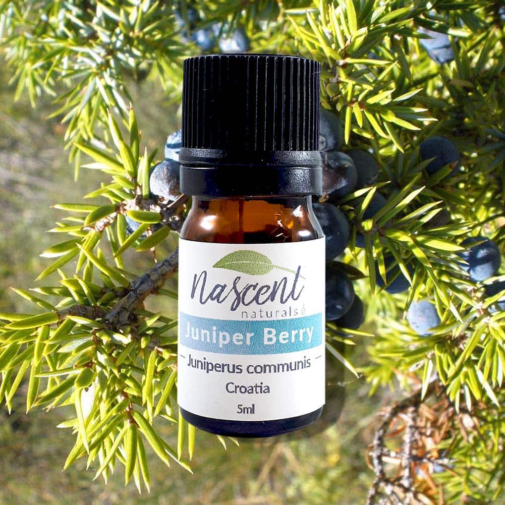 Juniper Berry image 0