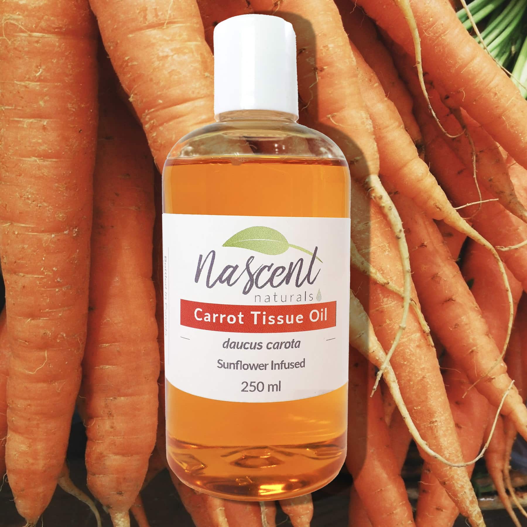 Carrot Tissue Oil image 0