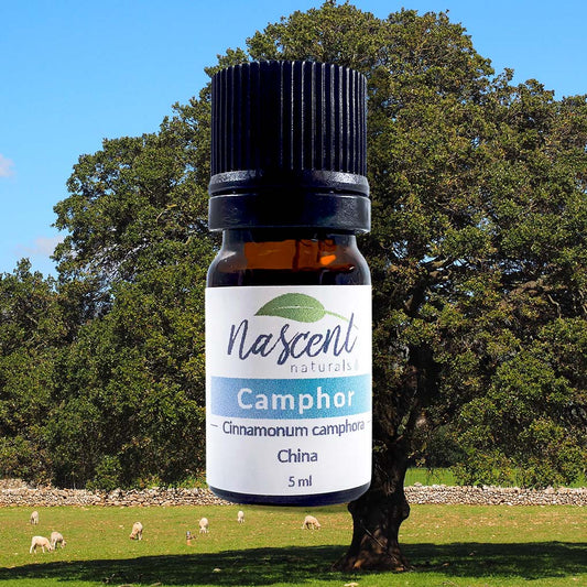 Camphor image 0