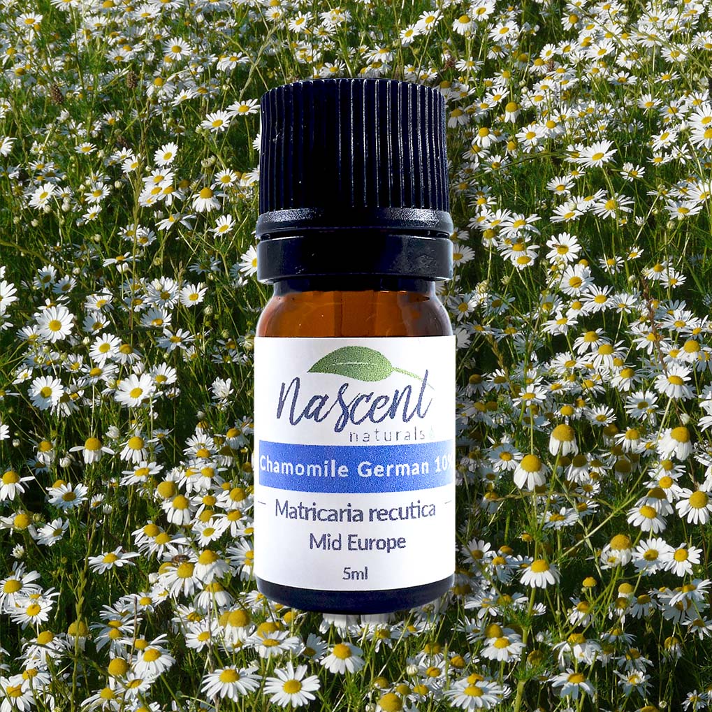 Chamomile German (10%) image 0