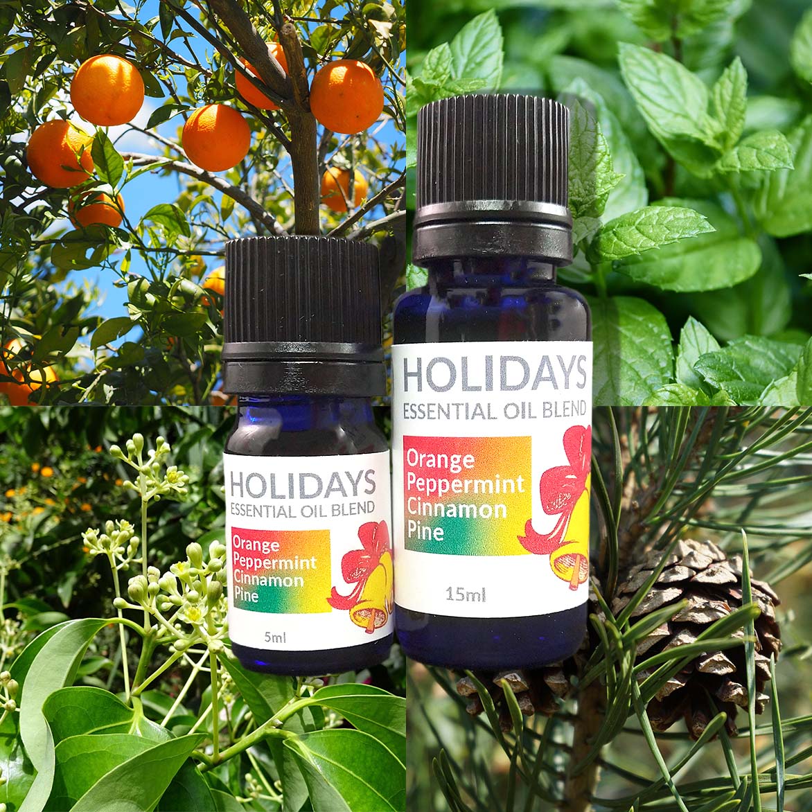 Holiday Essential Oil Blend image 0