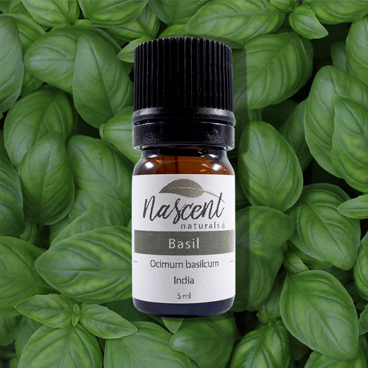 Basil Essential Oil