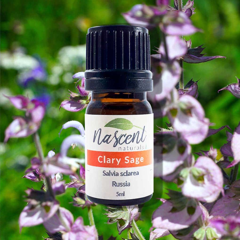 Clary Sage image 0