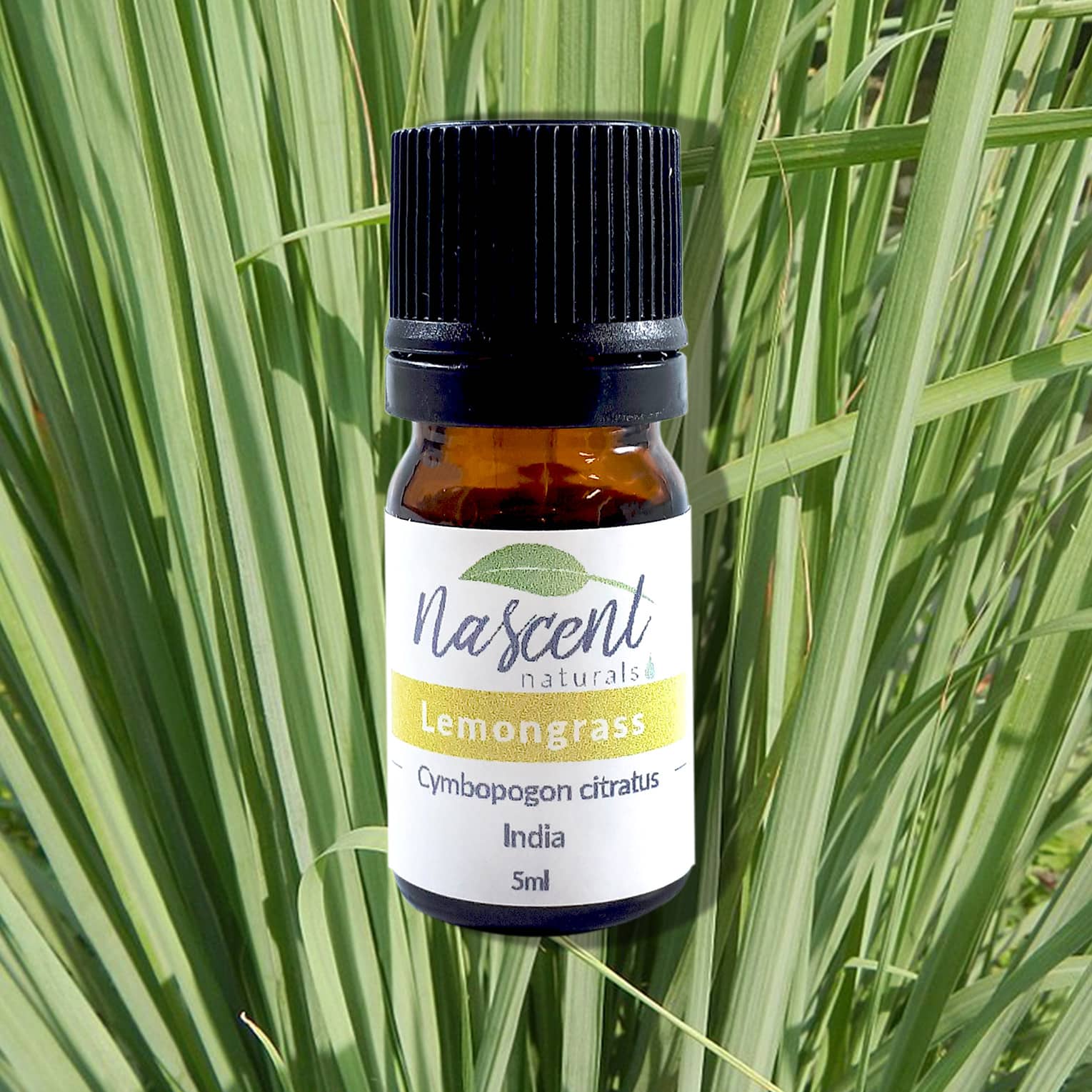 Lemongrass image 0