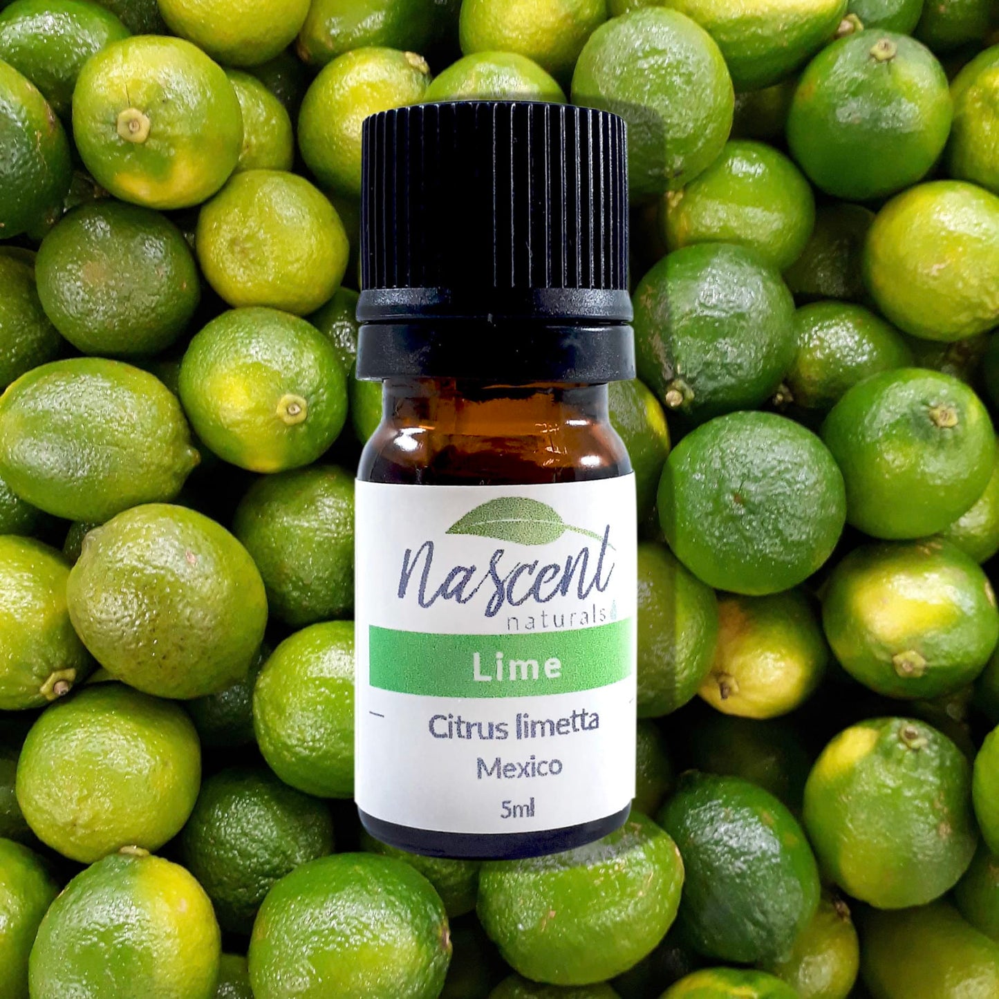 Lime image 0