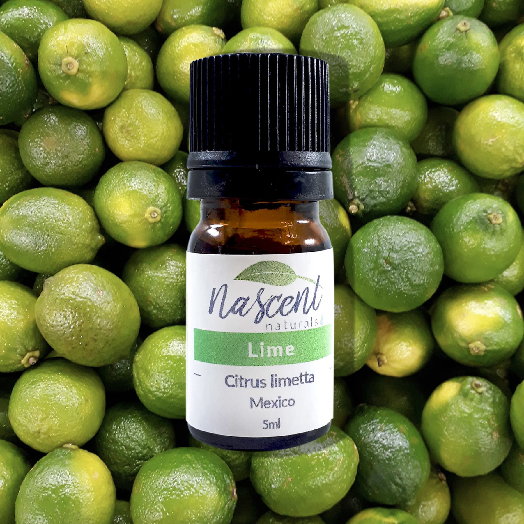 Lime image 0