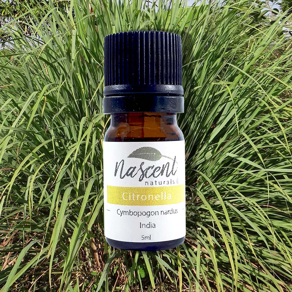 Citronella image 0