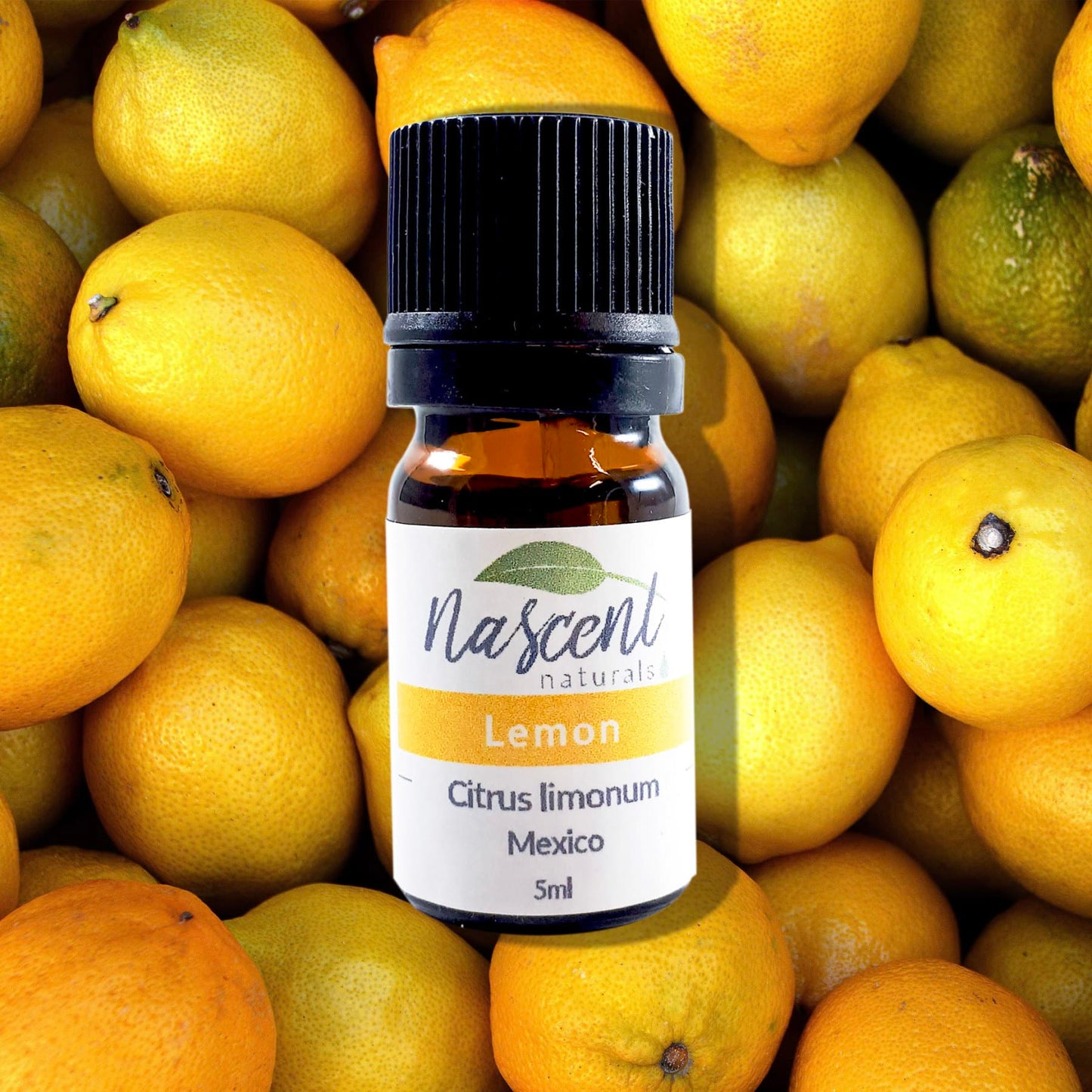 Lemon image 0