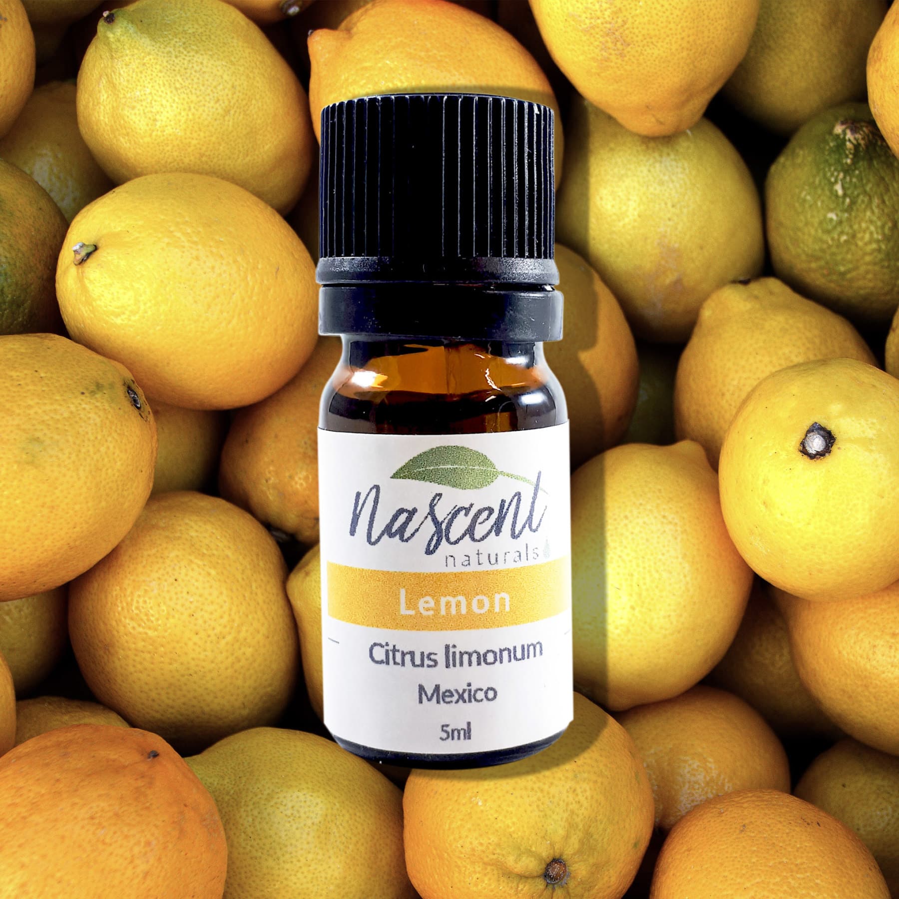 Lemon image 0
