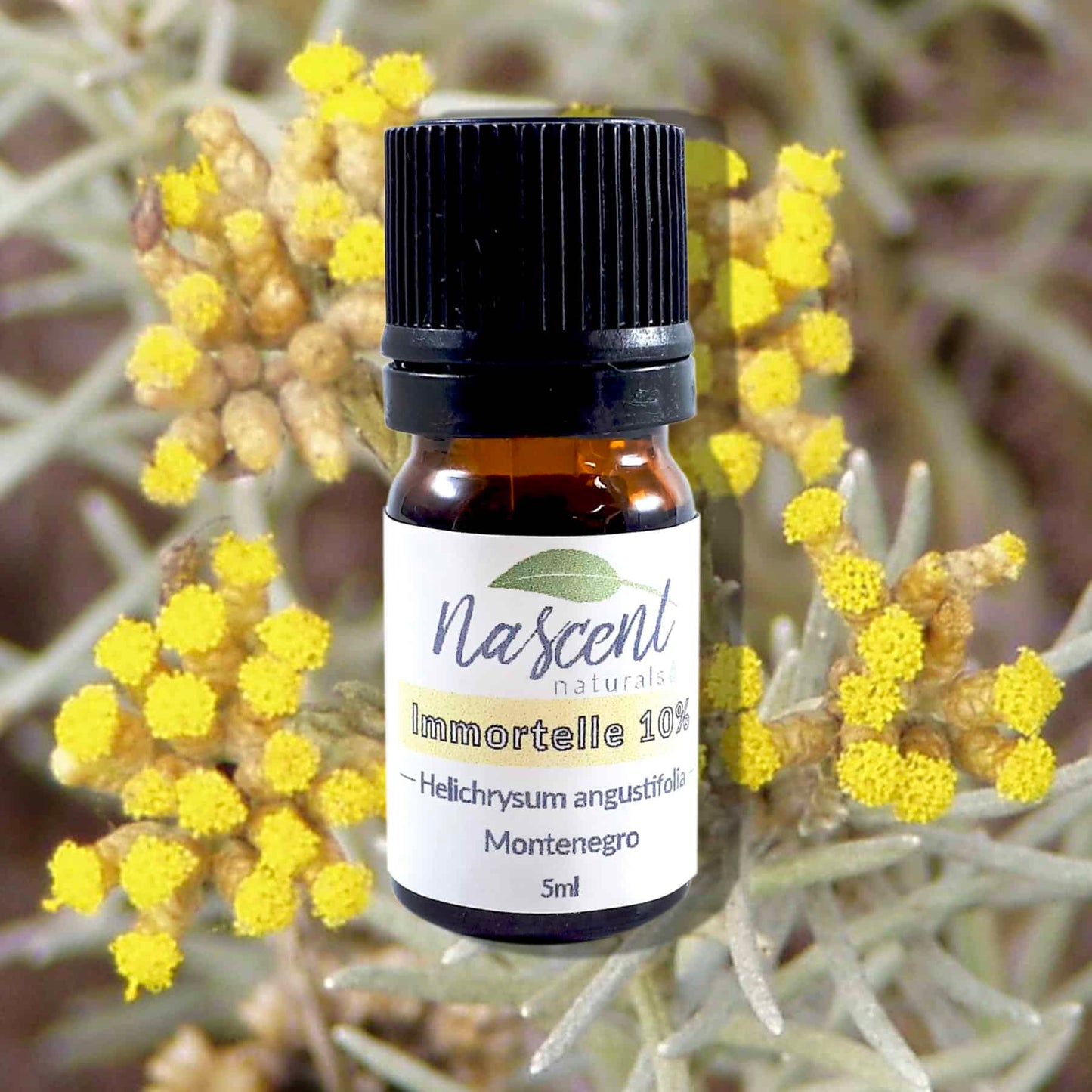 Immortelle 10% image 0