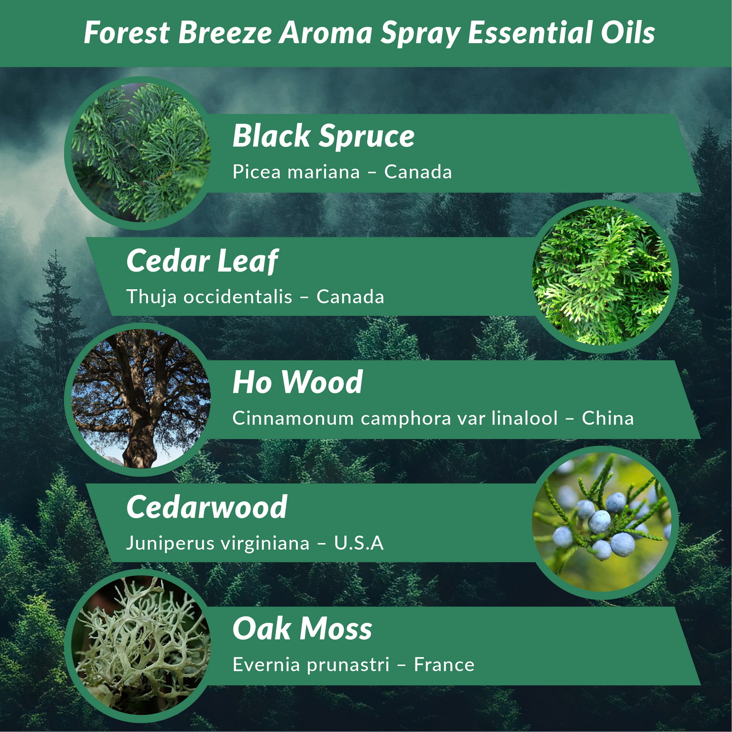 Forest Breeze Aroma Spray