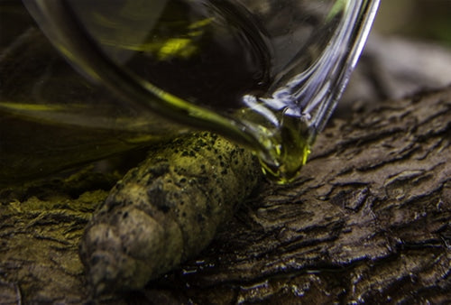 Hemp Seed (Cannabis) Oil - An Underrated Skincare Option