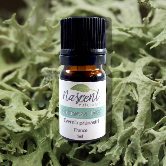 Oakmoss Absolute (10% ) image 0