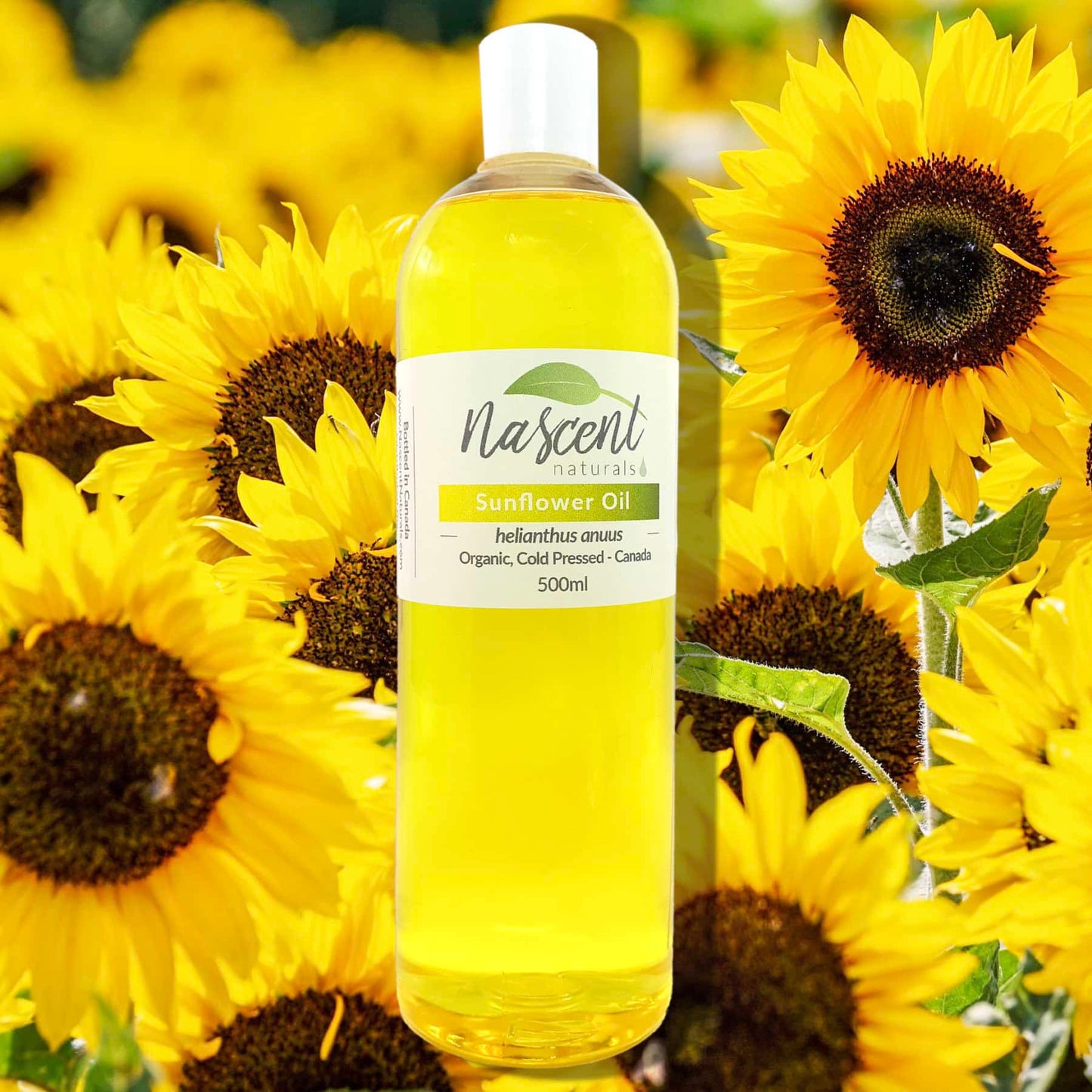 Sunflower Oil image 0