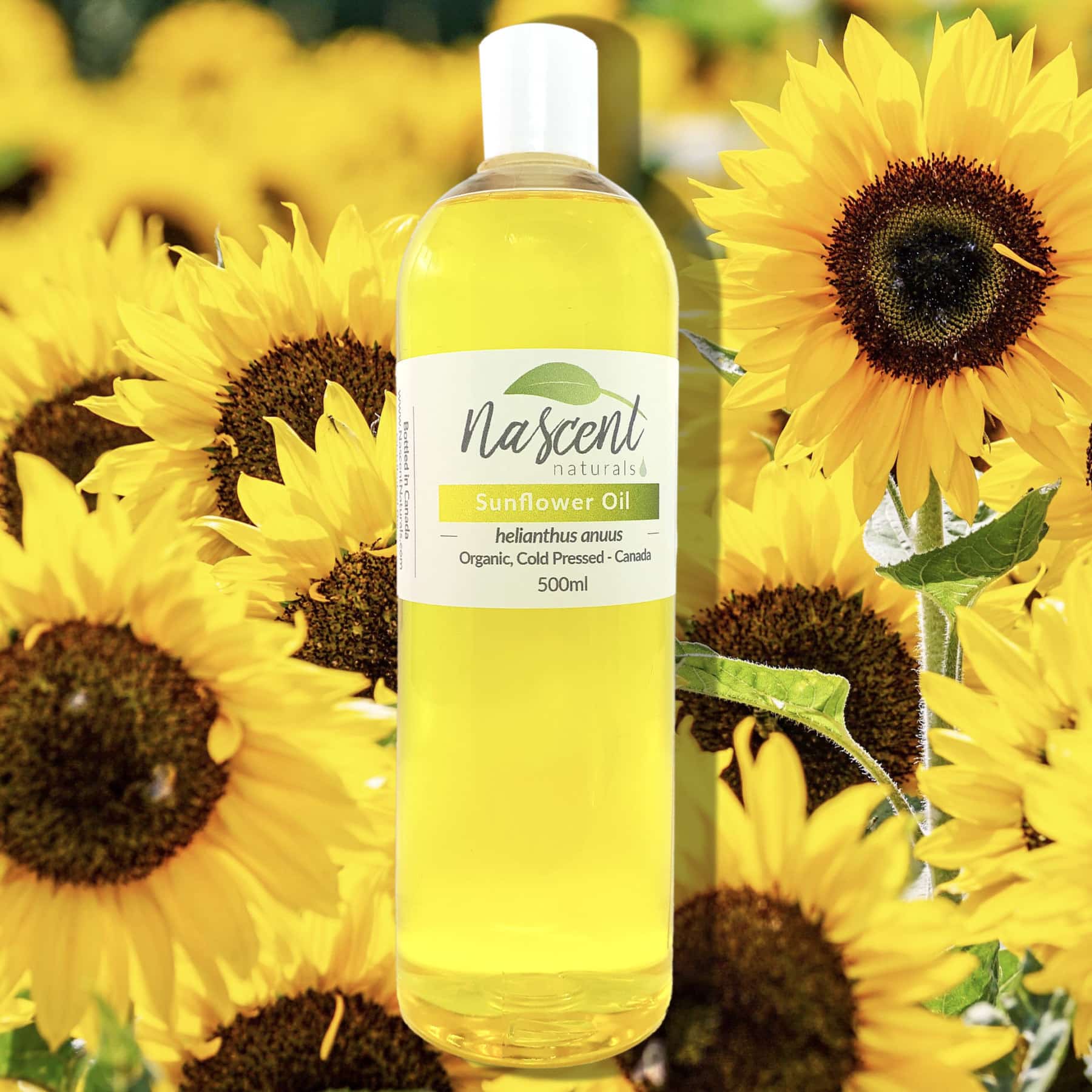 Sunflower Oil image 0