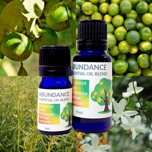 Abundance Essential Oil Blend image 0