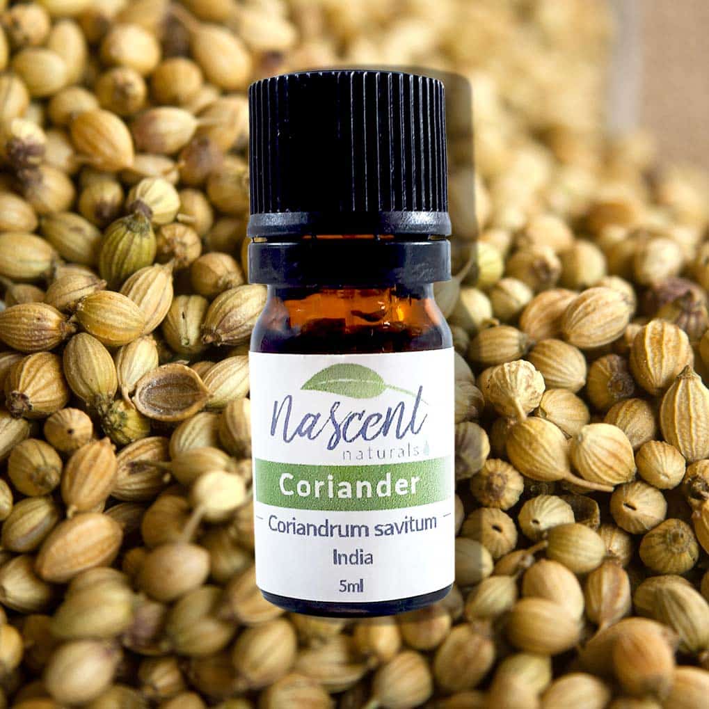 Coriander image 0