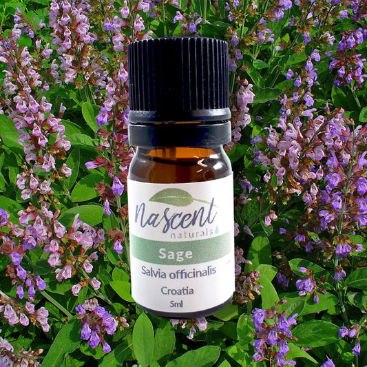 Sage image 0