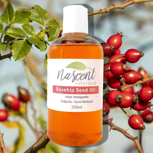 Rosehip Seed Oil - Semi-Refined image 0