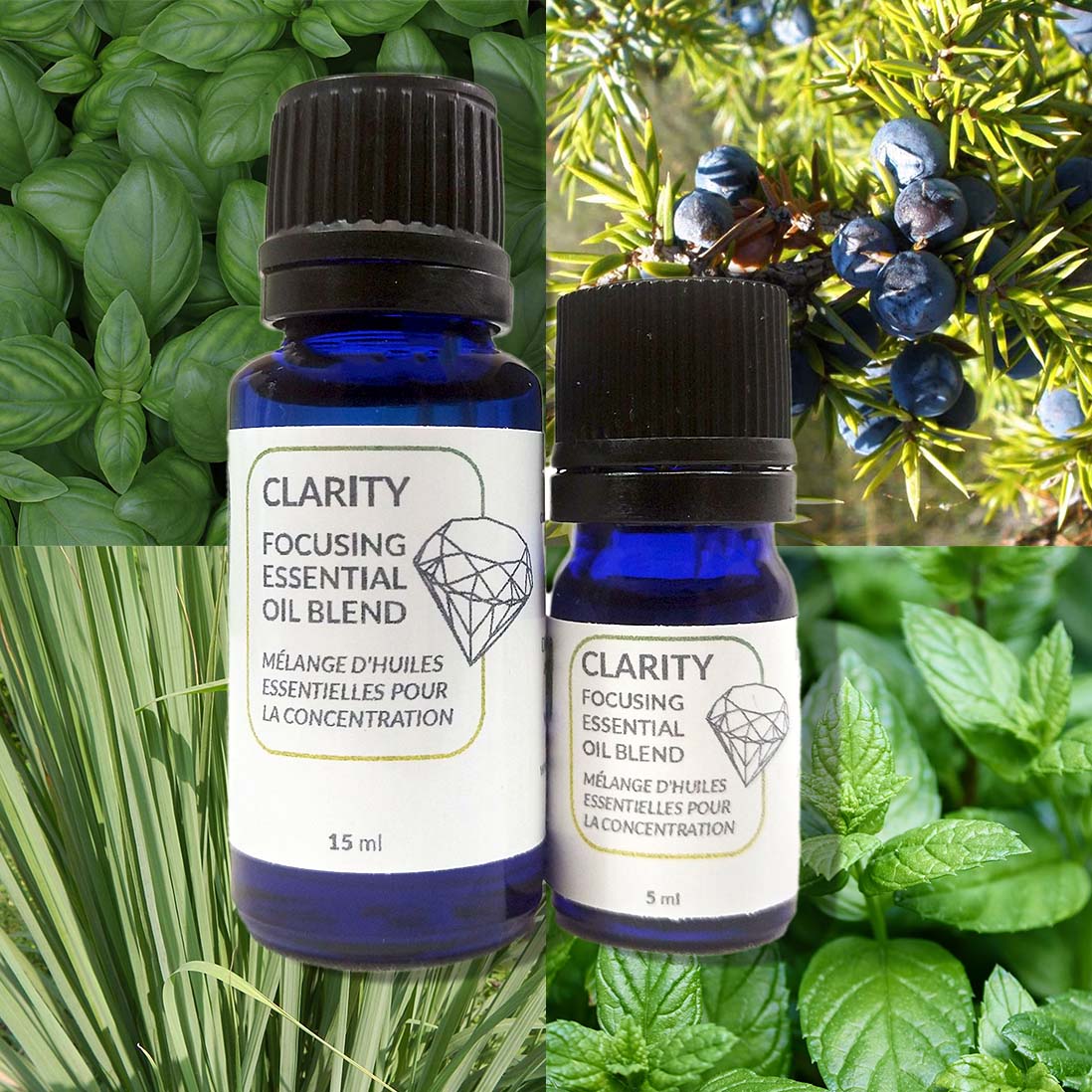 Clarity Essential Oil Blend image 0