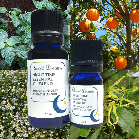 Sweet Dreams Night Time Essential Oil Blend image 0