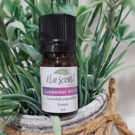 Lavender 40/42 Essential Oil