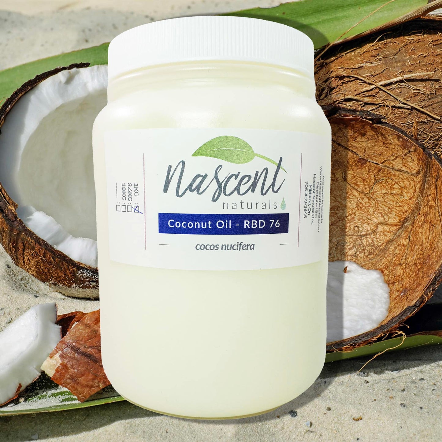 Coconut Oil - RBD 76 image 0