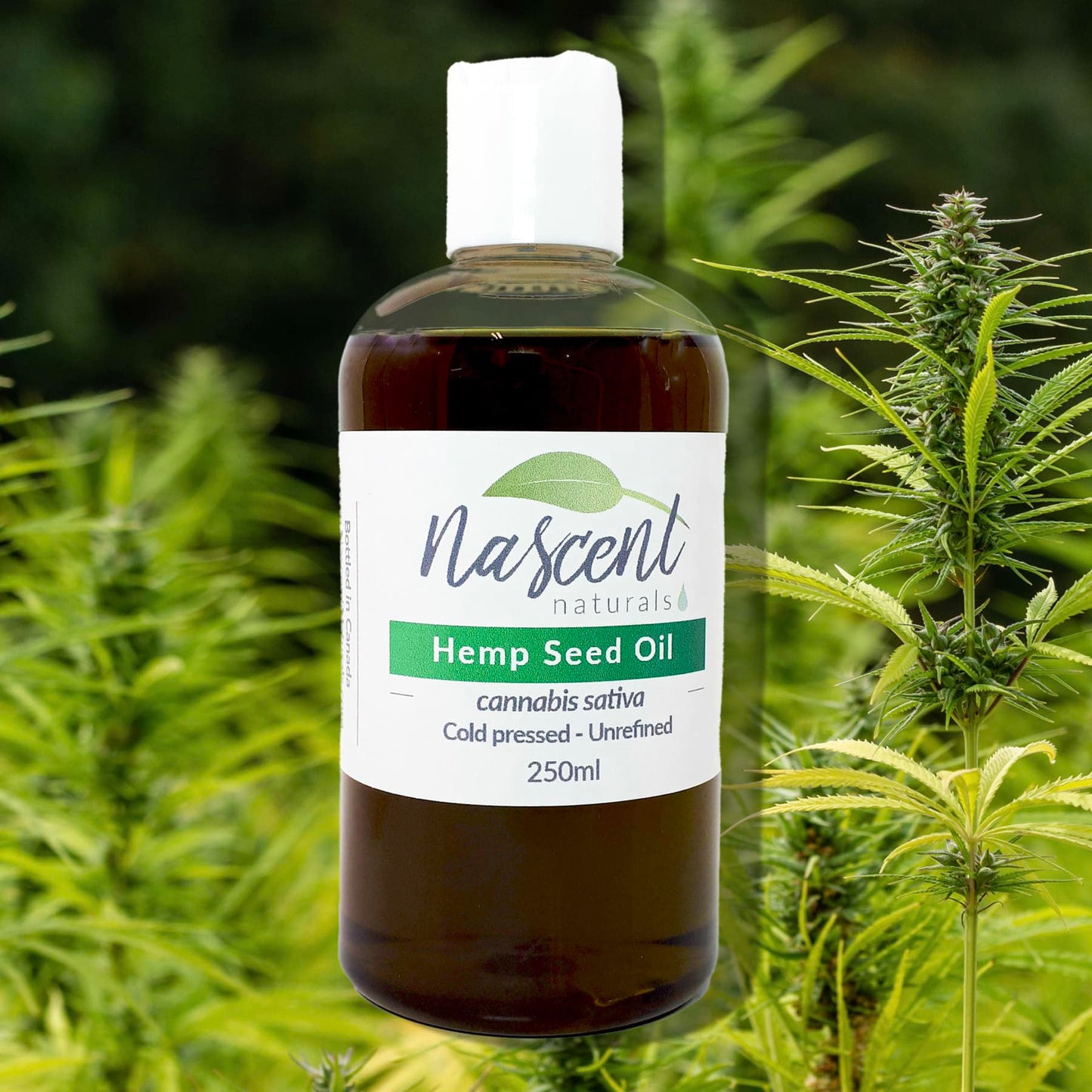 Hemp Seed Oil image 0