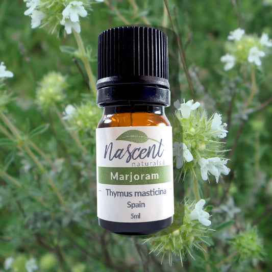 Marjoram image 0