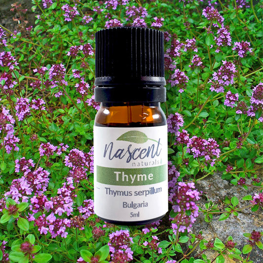 Thyme image 0